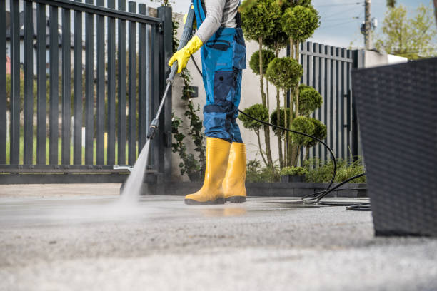 Best Roof Power Washing Services  in Center Hill, FL
